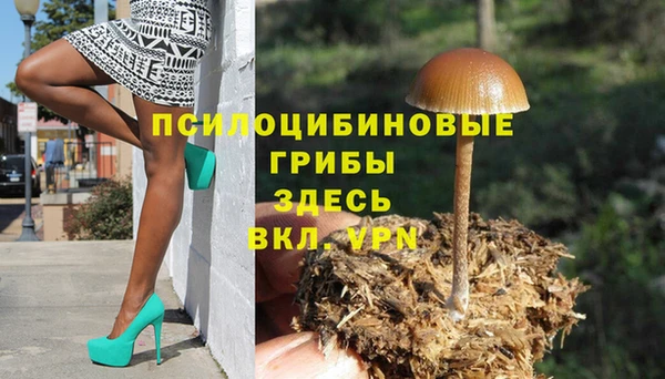 spice Алзамай