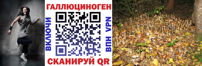 Псилоцибиновые грибы мухоморы  гидра рабочий сайт  Сясьстрой 